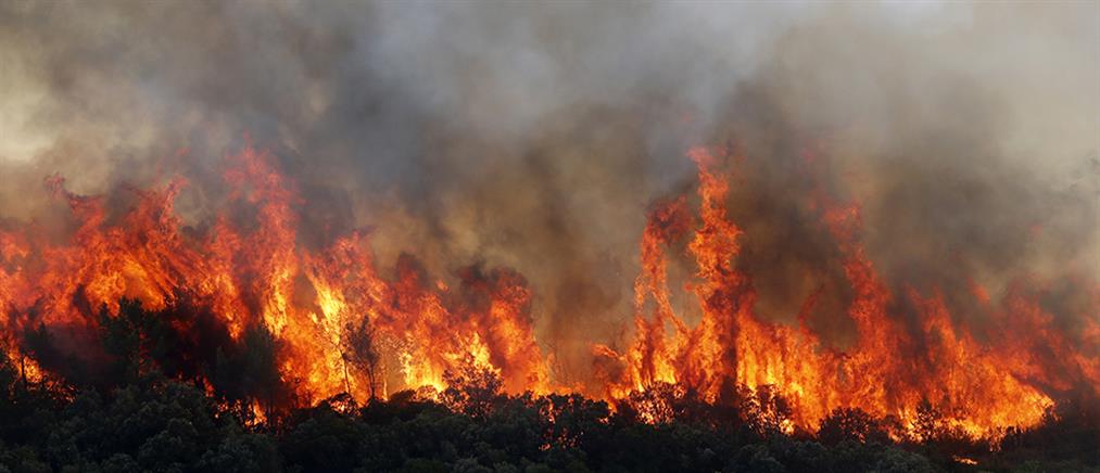 Γαλλία: Φωτιά στην Αρντές – Εκκενώθηκαν χωριό και εργοστάσια (εικόνες)