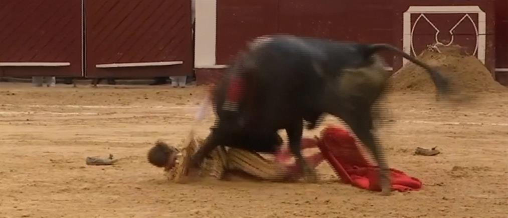 Σκληρές εικόνες από επίθεση ταύρου σε ταυρομάχο (βίντεο)