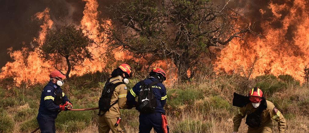 Αχαΐα: Φωτιά στην Αγία Παρασκευή - Ενισχύσεις από Ηλεία