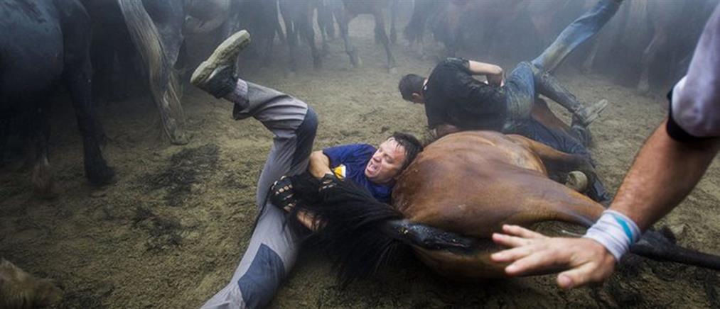 Προκαλούν αντιδράσεις οι αλογομαχίες στην Ισπανία