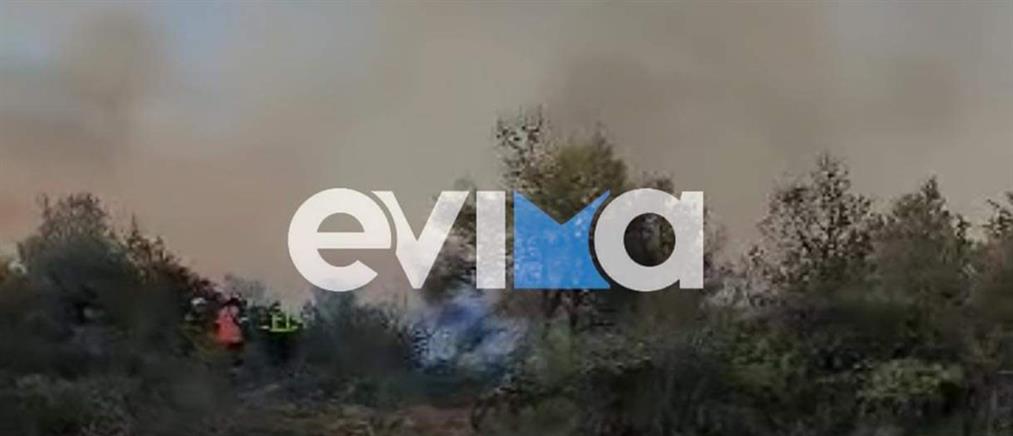 Φωτιά στην Εύβοια: Συνεχίζεται η μάχη με τις φλόγες - Τραγικός ο πρώτος απολογισμός
