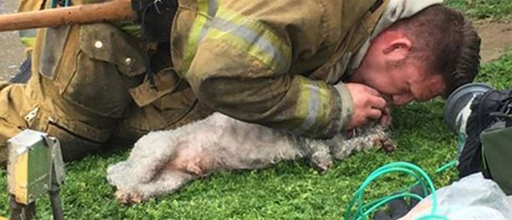 Πυροσβέστες έκαναν τεχνητή αναπνοή σε σκυλάκι επί 20 λεπτά (βίντεο)