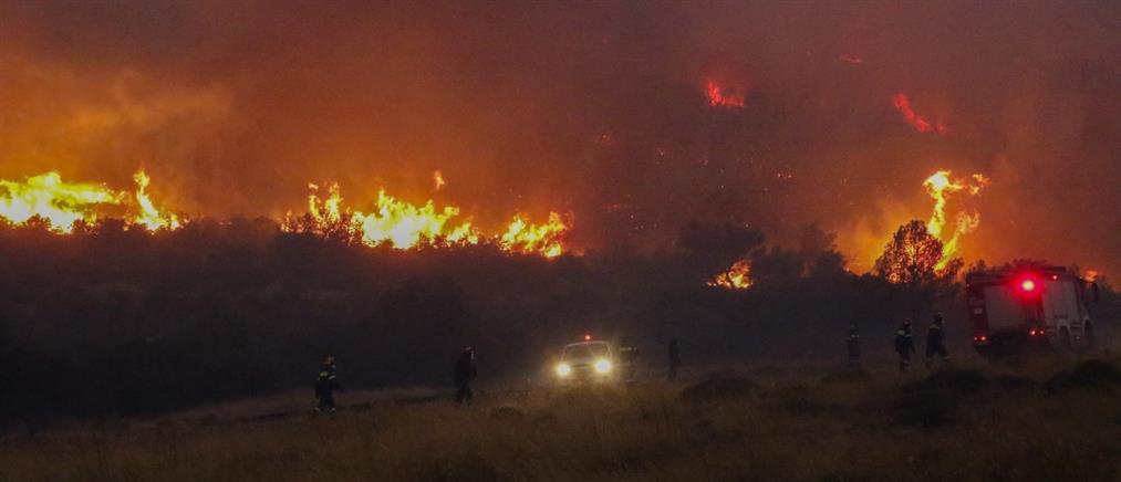 Φωτιά στην Πάρνηθα: Καμένα σπίτια και αγωνία για τον Εθνικό Δρυμό (εικόνες)