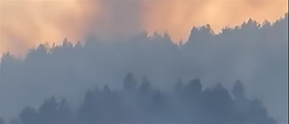 Φωτιά στα Πιέρια Όρη: Στις φλόγες δασικές εκτάσεις (βίντεο)