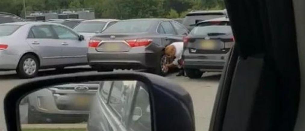 Viral η γιαγιά που ξεπαρκάρει ...επί 6' το αυτοκίνητο της! (βίντεο)