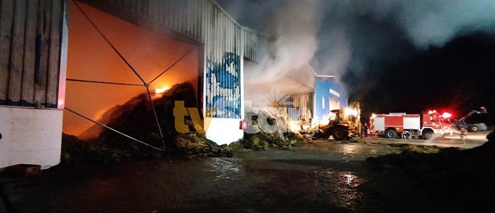 Αλίαρτος: Αποθήκη με ζωοτροφές παραδόθηκε στις φλόγες (εικόνες)