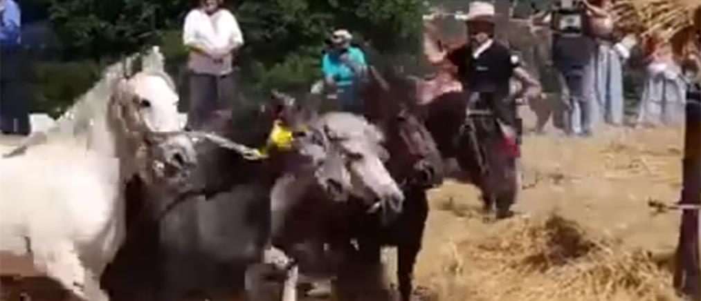 Κακοποίηση ζώων: Πρόστιμο για έθιμο με άλογα