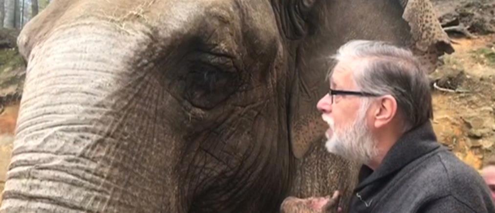 Δάκρυα στη συνάντηση ελεφαντίνας με τον φύλακά της μετά από 35 χρόνια (βίντεο)