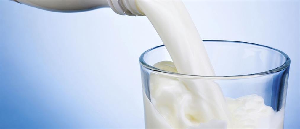 Τρεις κατηγορίες γάλακτος προτείνουν οι αγελαδοτρόφοι