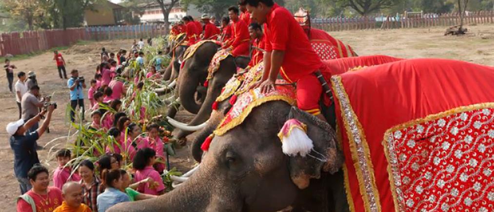 Εθνική ημέρα του ελέφαντα