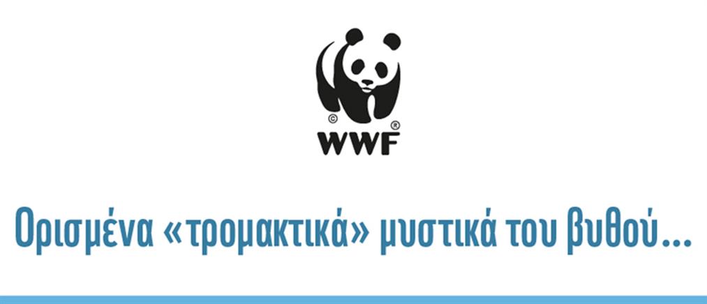 WWF: “Τρόμος στην Μεσόγειο”
