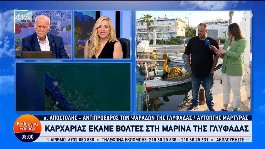 Καρχαρίας έκανε βόλτες στη μαρίνα της Γλυφάδας – Καλημέρα Ελλάδα – 08/05/2024