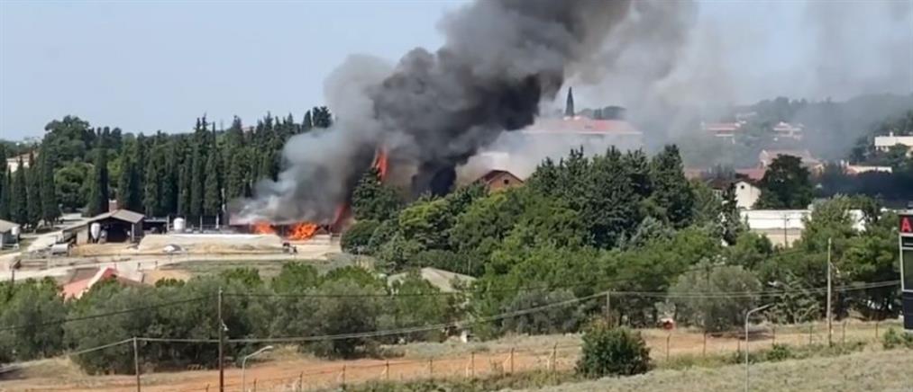 Θεσσαλονίκη: Φωτιά σε εγκαταστάσεις της Αμερικάνικης Γεωργικής Σχολής (βίντεο)