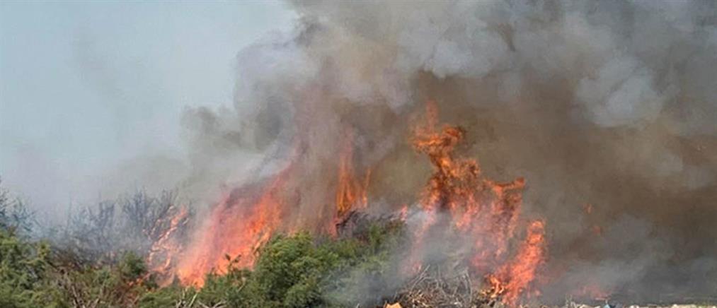 Φωτιά στην Ηλεία - Λιποθύμησε πυροσβέστης (εικόνες)