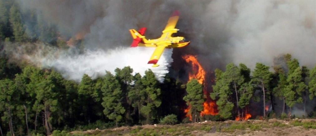 Φωτιά στον Δομοκό: Ήχησε το 112 για απομάκρυνση από την περιοχή