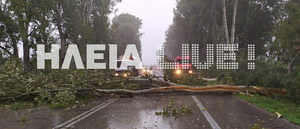 Κακοκαιρία: Έκλεισε η Εθνική Οδός από πτώση δέντρων (εικόνες)