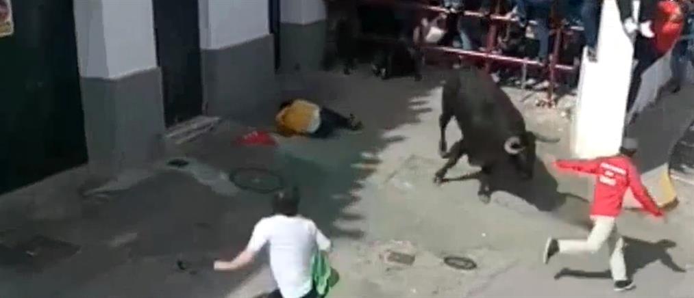 Ταύρος σκότωσε άνδρα σε πασχαλινό φεστιβάλ (βίντεο)