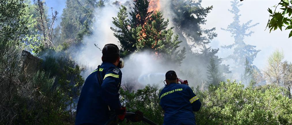 Φωτιές: Πολύ υψηλός κίνδυνος πυρκαγιάς την Παρασκευή (χάρτης)