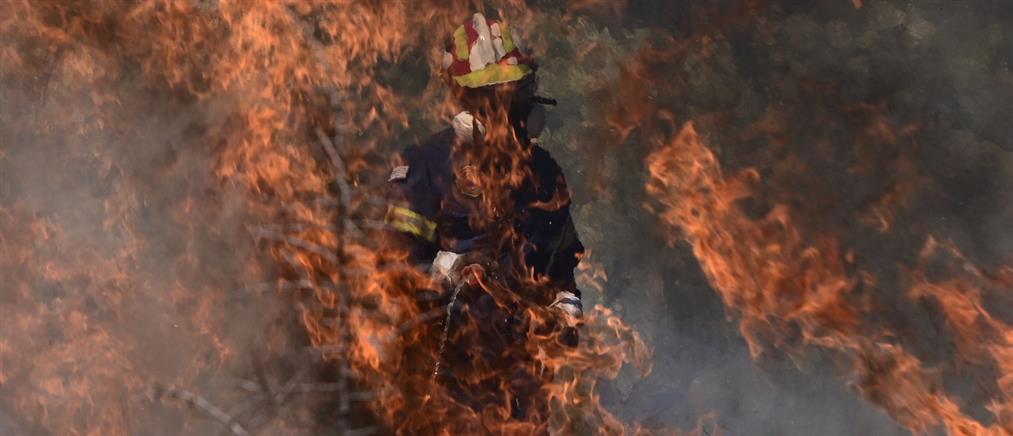 Φωτιά στην Αττική: Νέα μηνύματα εκκενώσεις - Σκληρή μάχη με τις αναζωπυρώσεις (εικόνες)