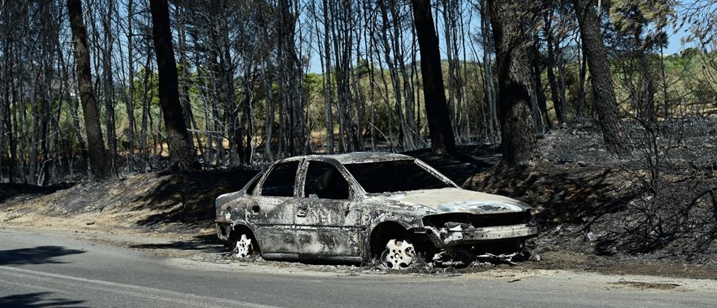 Φωτιές στην Αττική: Στήριξη των πυρόπληκτων από την Τοπική Αυτοδιοίκηση