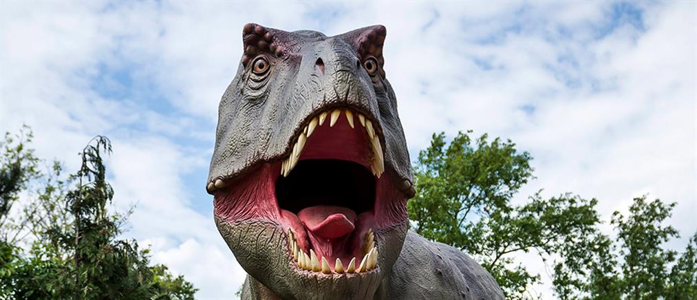 Ανακαλύφθηκε πρόγονος-μινιατούρα του Τυραννόσαυρου Ρεξ (εικόνα)
