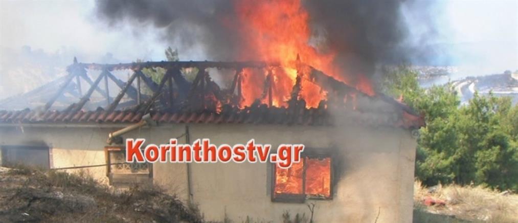“Κόλαση”φωτιάς στο Ζευγολατιό, τραυματίστηκαν πυροσβέστες (βίντεο)