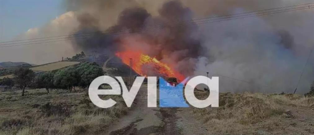 Εύβοια: Φωτιά στην Κάρυστο