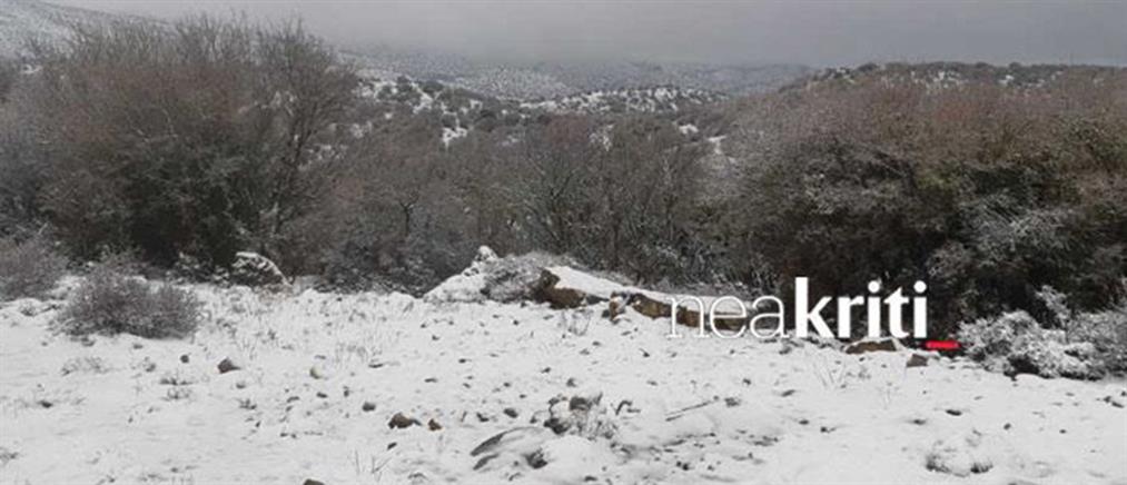 Μαγικό τοπίο στον χιονισμένο Ψηλορείτη (εικόνες)