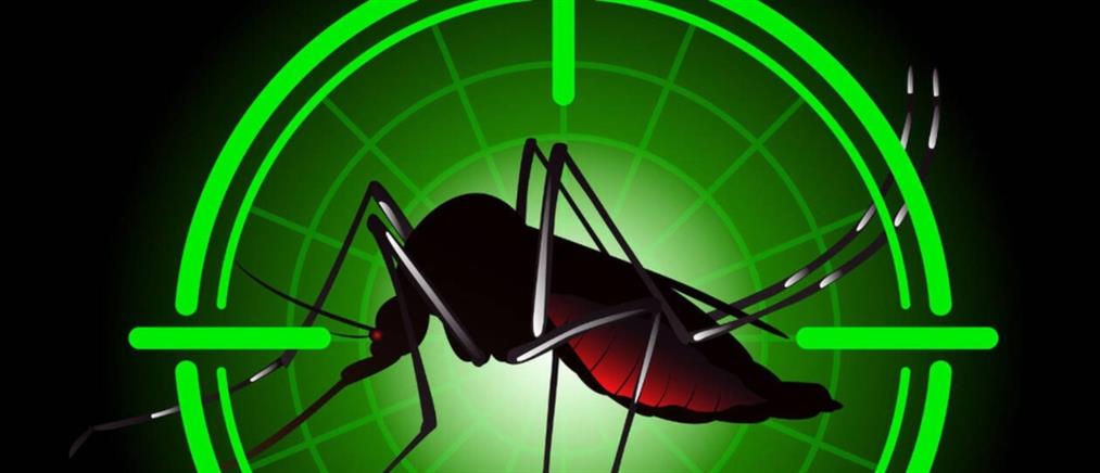 Ιός Δυτικού Νείλου - ΕΟΔΥ: Οδηγίες για την προστασία από τα κουνούπια