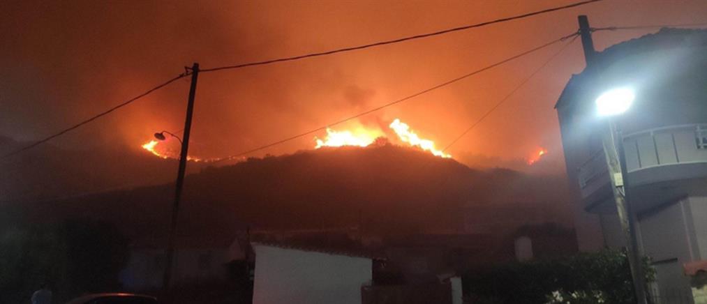 Φωτιές: Ολονύχτια μάχη με τις φλόγες σε Ροδόπη, Καβάλα, Κύθνο, Εύβοια και Βοιωτία (εικόνες)