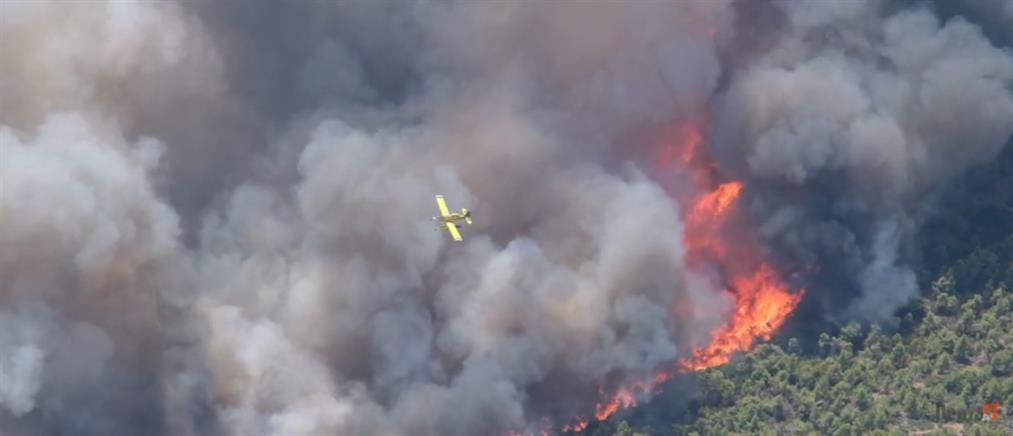 Φωτιά στην Πάρνηθα - Βίντεο από ελικόπτερο της Πυροσβεστικής με συγκλονιστικές εικόνες