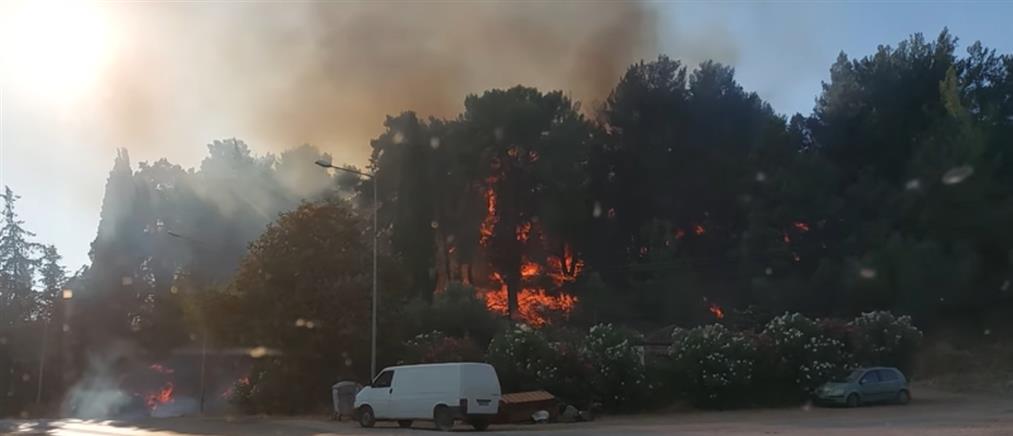 Αρκαδία: Φωτιά στο Δεμίρι - Σηκώθηκαν εναέρια μέσα