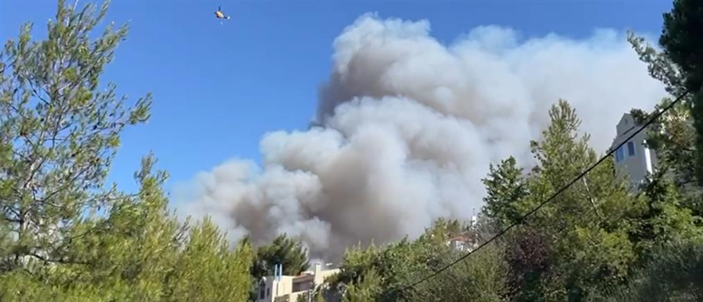 Φωτιά στη Σταμάτα κοντά σε σπίτια- Μήνυμα 112 για εκκενώσεις (εικόνες)