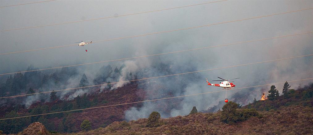Φωτιά στην Τενερίφη: Εκτός ελέγχου οι φλόγες, εκκένωση πέντε χωριών (εικόνες)