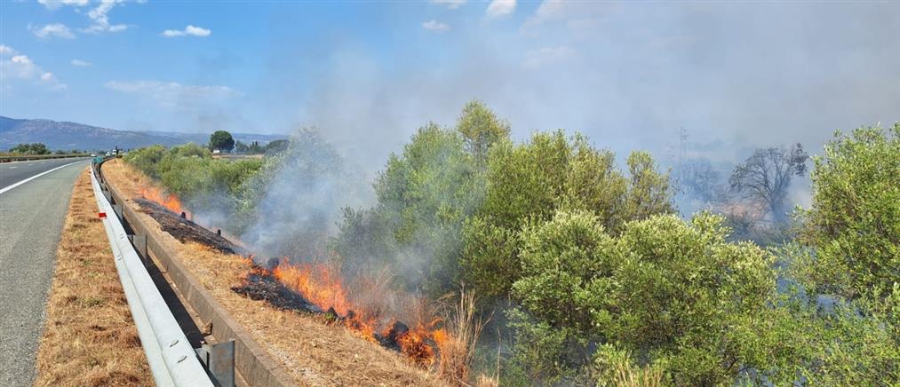 Φωτιά στο Αγρίνιο σε τρεις διαφορετικές εστίες (εικόνες)