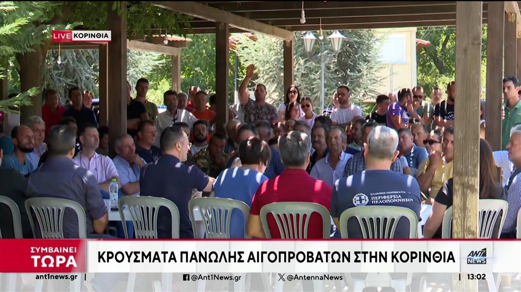 Πανώλη: «Συναγερμός» στην Πελοπόννησο μετά το κρούσμα στην Κορινθία
