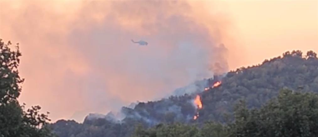 Θεσσαλονίκη: Φωτιά στην Θέρμη