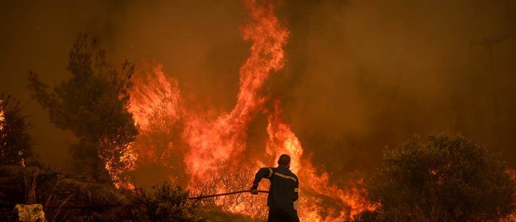 Σέρρες: Φωτιά σε δασική έκταση