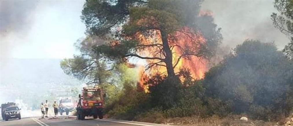 Ερέτρια: Φωτιά στην Αγία Κυριακή κοντά σε σπίτια