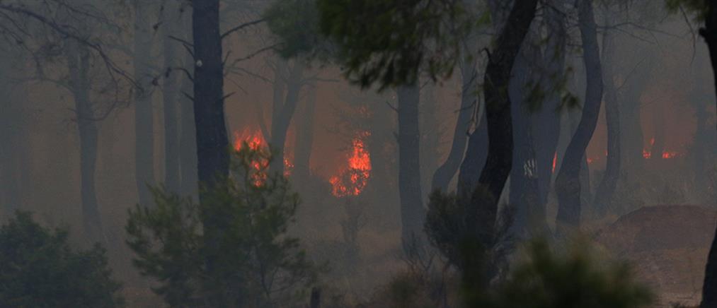 Φωτιά στην Πάρνηθα: Αναζωπυρώσεις και αγωνία για νέες εστίες