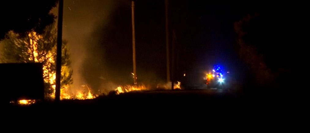 Φωτιές στη Γαλλία: απομακρύνθηκαν χιλιάδες κάτοικοι και τουρίστες από το Σεν Τροπέ