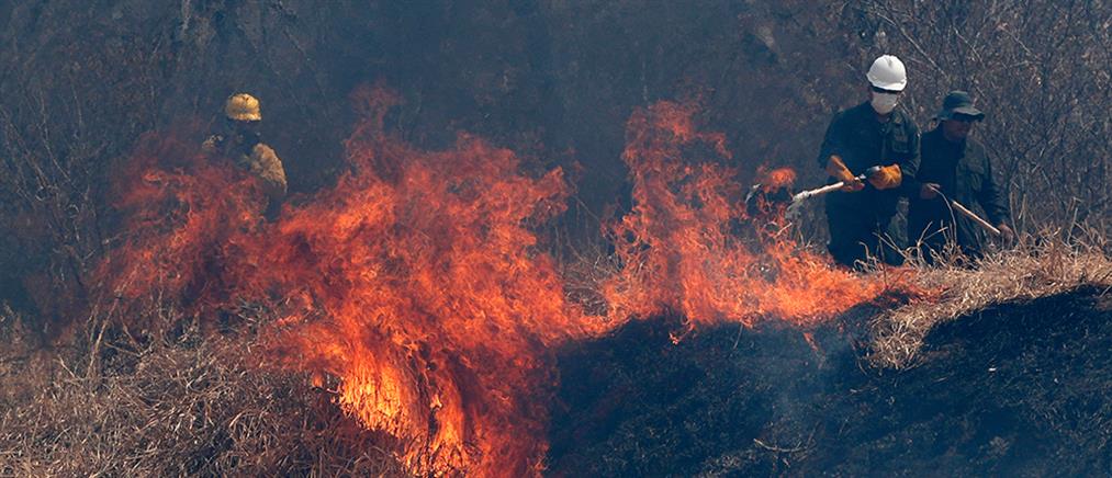 Βολιβία – φωτιές : δεκάδες εκατομμύρια στρέμματα έγιναν στάχτη