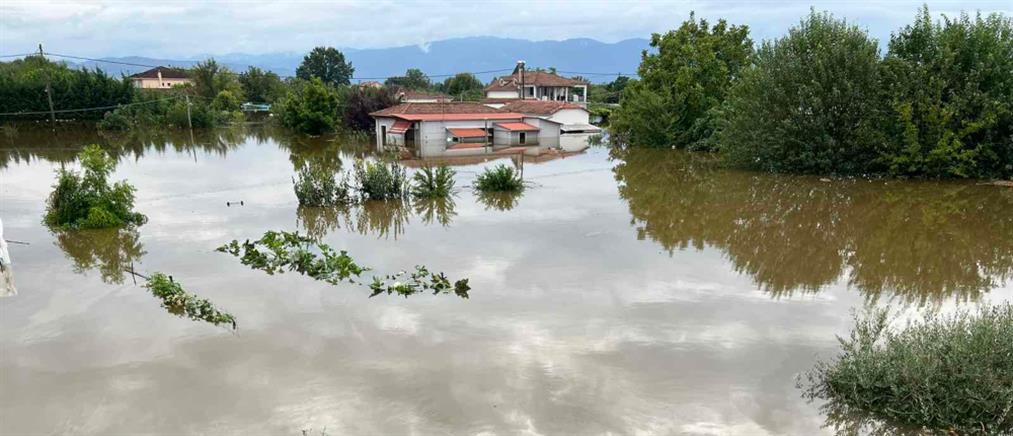 Τρίκαλα - “Daniel” και “Elias”: Αναζητείται μόνιμη στέγη για τους πλημμυροπαθείς