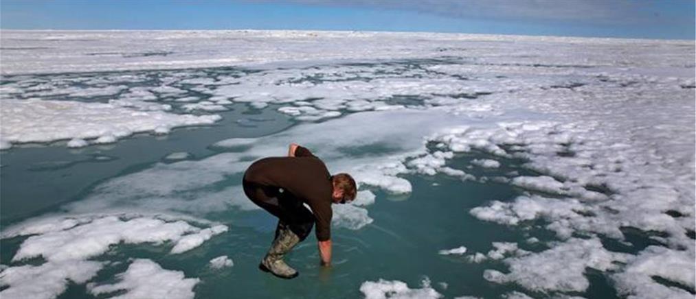 
Αρκτική: Άνοδος της θερμοκρασίας και εξαφάνιση ειδών – Οι συνέπειες