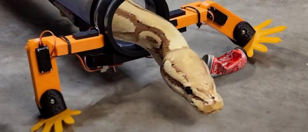 Viral: Μηχανικός έβαλε “πόδια” σε… φίδι (βίντεο)