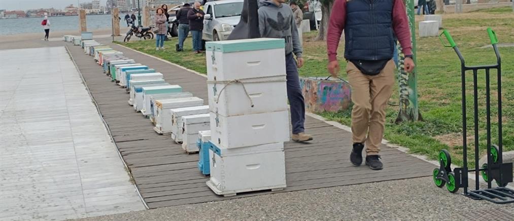 Λευκός Πύργος: Μελισσοκόμοι έστησαν κυψέλες στην Νέα Παραλία (εικόνες)