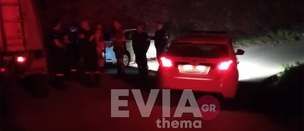 Εύβοια: Αυτοκίνητο έπεσε στον γκρεμό (εικόνες)