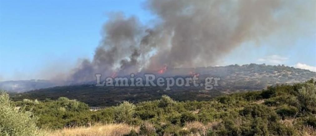 Φωτιές σε Λαμία και Βόλο: αναζωπυρώσεις, εκρήξεις και “μπαράζ” μηνυμάτων εκκένωσης