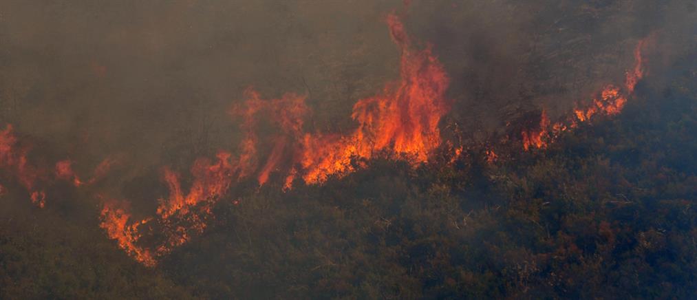 Καστοριά: Φωτιά στον Τρίλοφο - Ρίψεις νερού και από αέρος