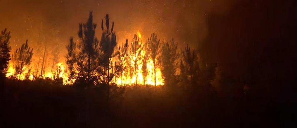 Πυρκαγιά στην Πορτογαλία: Εθνικός δρυμός συνεχίζει να φλέγεται 